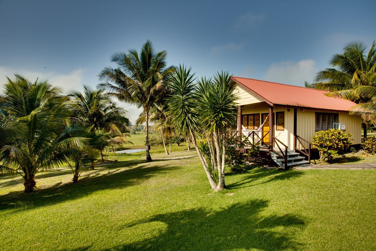 Cassia Hill Resort San Ignacio Dış mekan fotoğraf