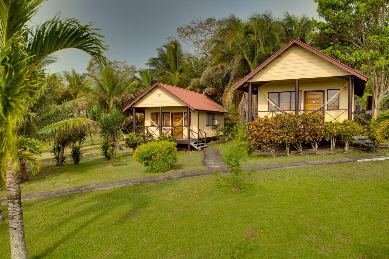 Cassia Hill Resort San Ignacio Dış mekan fotoğraf