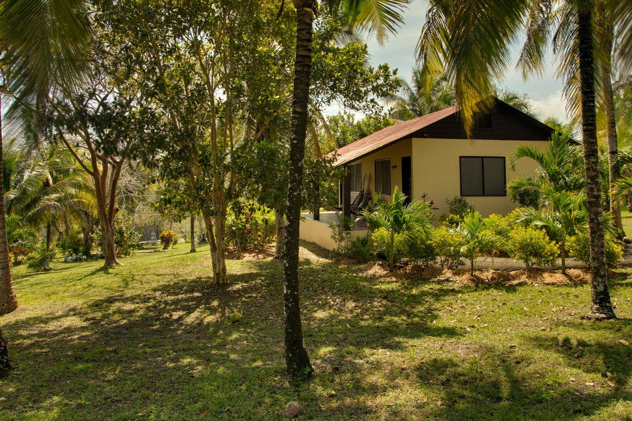 Cassia Hill Resort San Ignacio Dış mekan fotoğraf