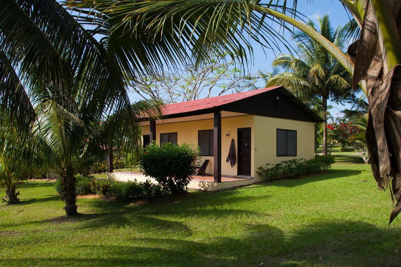 Cassia Hill Resort San Ignacio Dış mekan fotoğraf