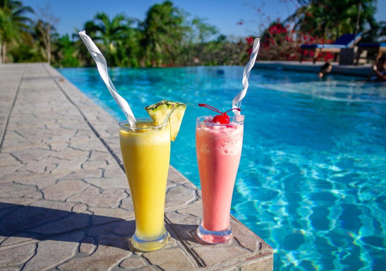 Cassia Hill Resort San Ignacio Dış mekan fotoğraf