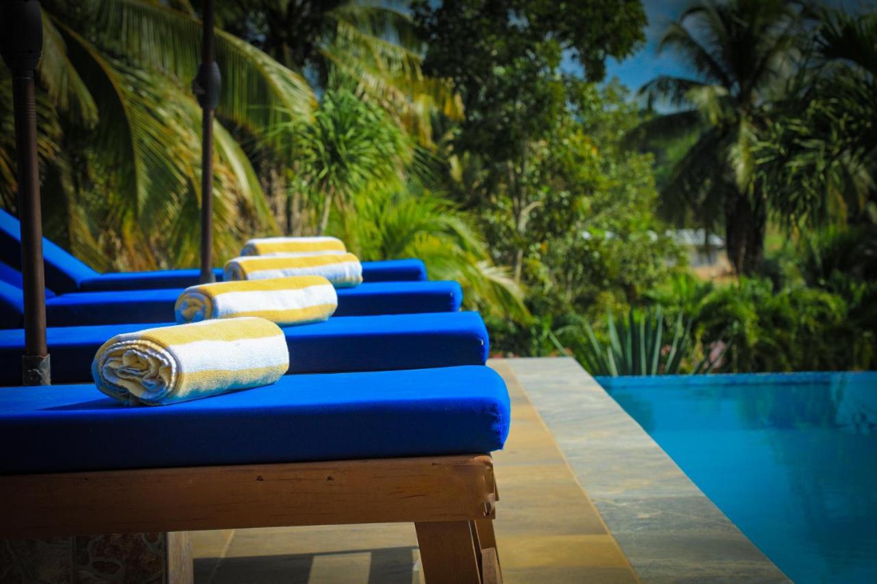 Cassia Hill Resort San Ignacio Dış mekan fotoğraf