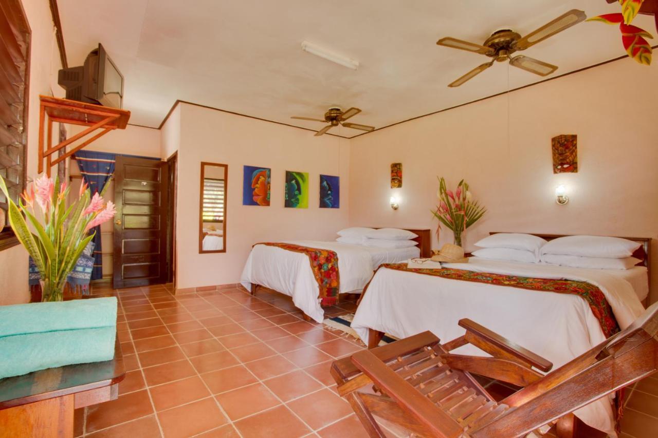 Cassia Hill Resort San Ignacio Dış mekan fotoğraf
