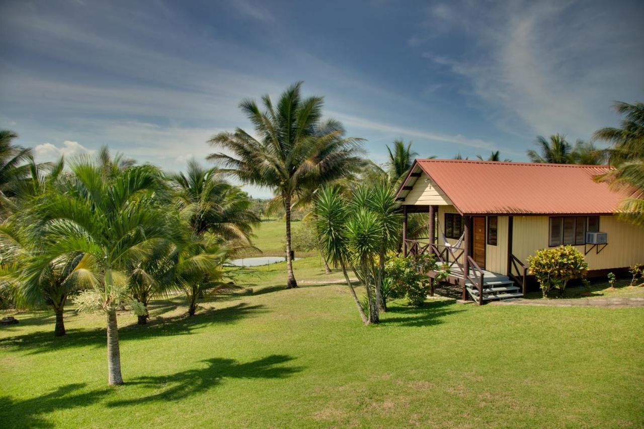 Cassia Hill Resort San Ignacio Dış mekan fotoğraf